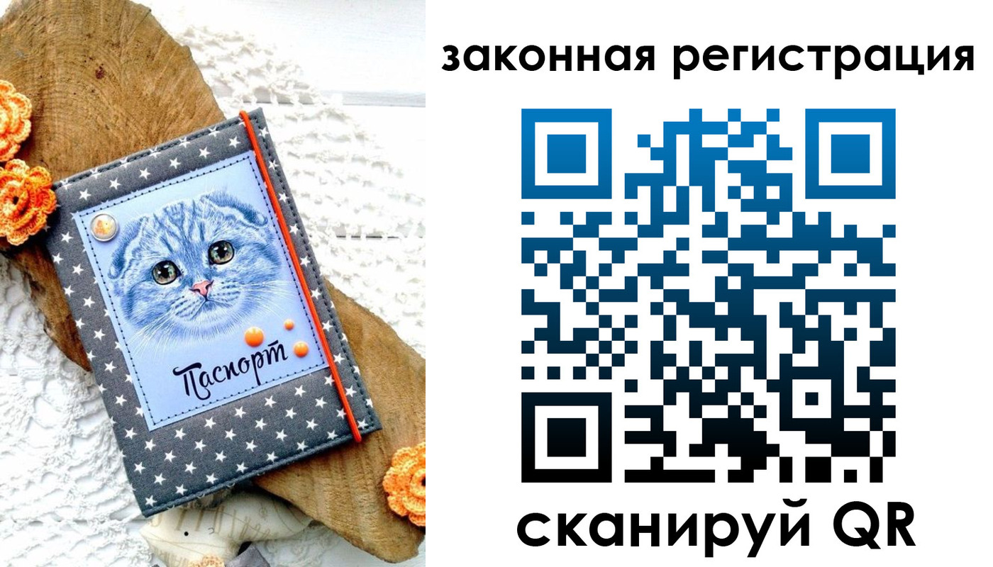 регистрация в Чувашии